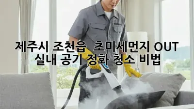 제주시 조천읍 🏡 초미세먼지 OUT! 실내 공기 정화 청소 비법