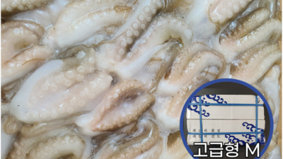 목포신쭈꾸미 맛집탐방 후기 & 꿀팁 대방출!